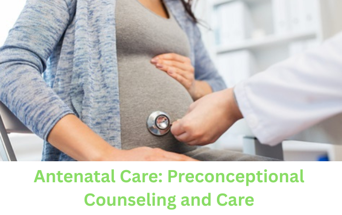 Antenatal Care: Preconceptional Counseling and Care